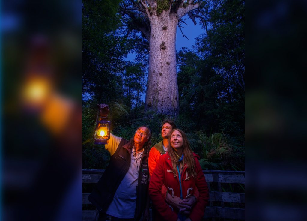 Tāne Mahuta By Candlelight